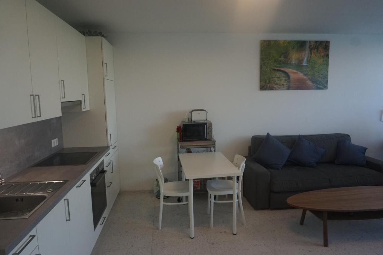 Appartement Augartenblick Penthaus 17 - Blick Zum Riesenrad *