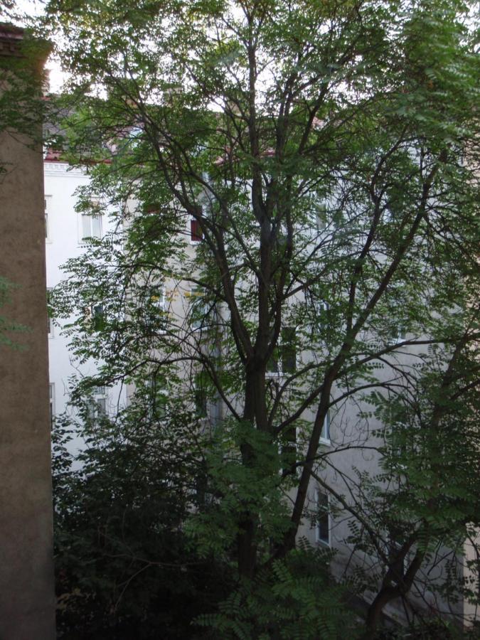 Augartenblick Penthaus 17 - Blick Zum Riesenrad Appartement